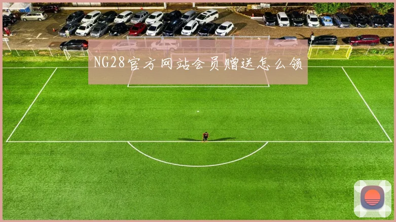 NG28官方网站会员赠送怎么领