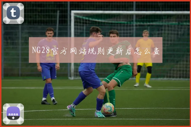 NG28官方网站规则更新后怎么查